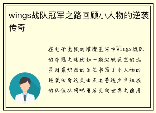 wings战队冠军之路回顾小人物的逆袭传奇